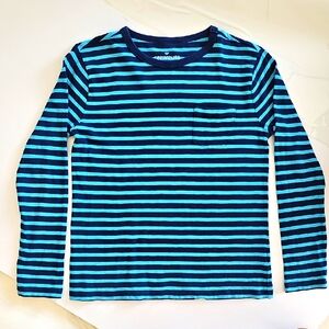 Crewcuts Boy's Teal and Navy Striped Longsleeve Shirt